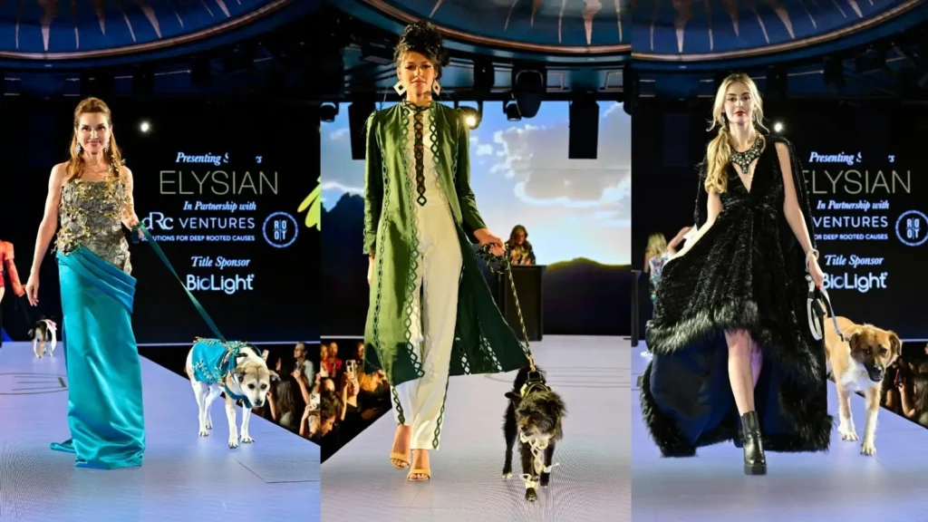 Previous ELYSIAN CatWalk FurBaby appearance with Runway 7